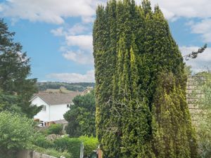 Photo 18- click for photo gallery